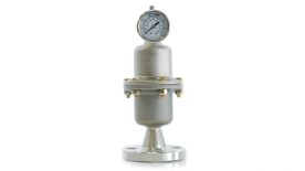 Blacoh CTS1020H-5, Pulsation Dampener, Sentry III, 10 in³, 1/2" FNPT, 300 PSI, Stainless Steel, Hypalon