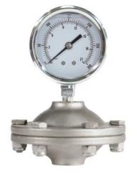 Blacoh SS-0600-SB02-T50, Gauge Guard, 2 in³, 1/2" FNPT, 600 PSI, Stainless Steel, PTFE