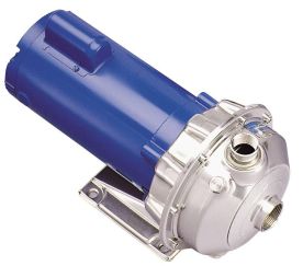 Goulds 1ST1C9F4, Centrifugal Pump, 1" Discharge, 1-1/4" Suction, NPT, 1/2 HP, 3 Phase, 230/460V, 3500 RPM, TEFC-PE, 4.06" Impeller, 316L Stainless Steel, NPE Series