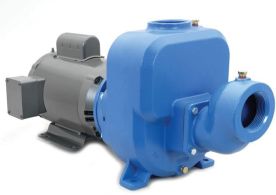 Goulds 30SPH20, Self-Priming Pump, 1-1/2" Discharge, 2" Suction, NPT, 3 HP, 1 Phase, 208-230V, 3500 RPM, TEFC, 5.94" Impeller, 300 Stainless Steel, Marlow Primeline Series