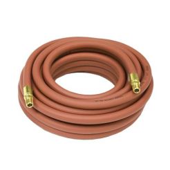 Reelcraft S601001-20, 1/4 in. Hose ID x 20 ft, 300 PSI, Air/Water, Replacement Hose Assembly