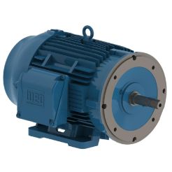 WEG 02536ET3E256JM-W22 Close-Coupled Pump Motor