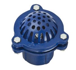 Kuriyama FV250, Foot Valve, 2-1/2", Cast Iron, 6-Carton