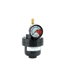 Neptune PD10PV-V, Pulsation Dampener, 10 in³, 1/2" FNPT, 150 PSI, PVC, FKM