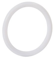 Rubber Fab 40MP-BIO-PRO-PLUS-100, GYLON BIO-PRO PLUS Gasket, 1", PTFE, White